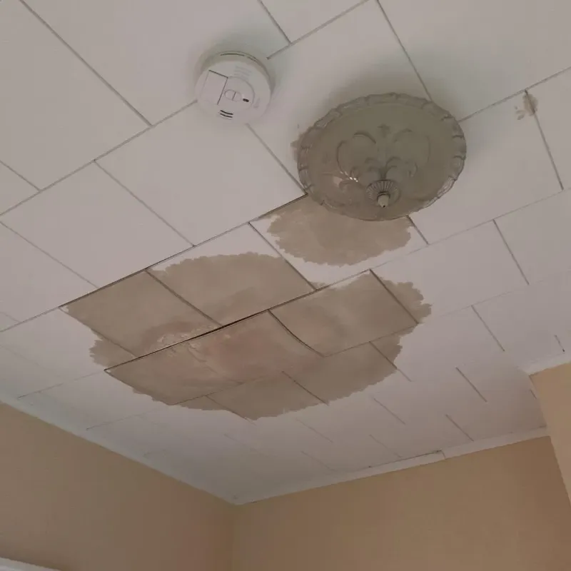 Ceiling Water Damage Repair in Thomas, OK