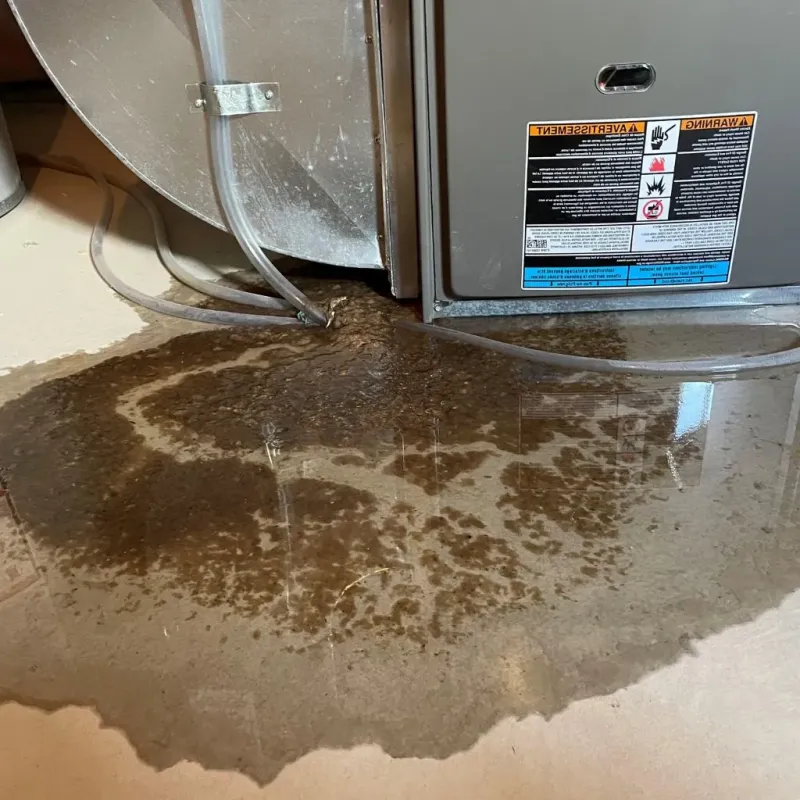 Pipe Burst and Leak Restoration in Thomas, OK