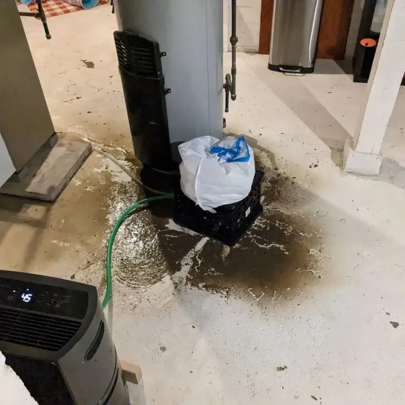 Sewage Backup Cleanup Service in Thomas, OK